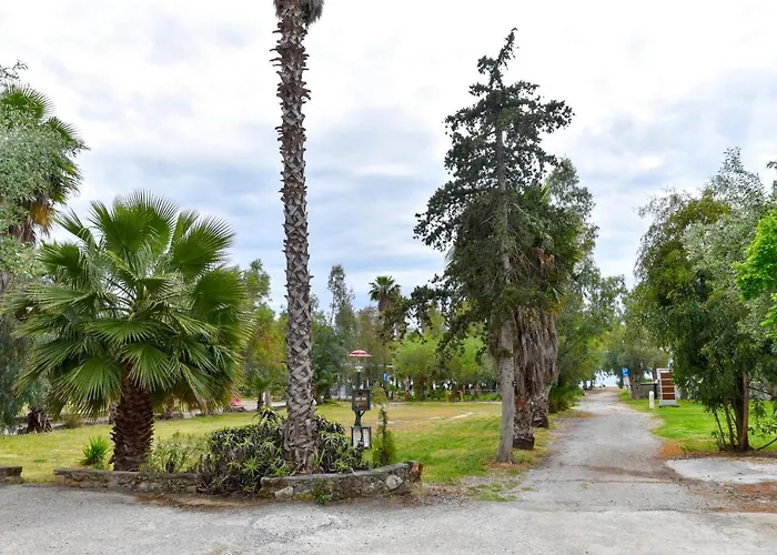 Дом отдыха Barreira Beachfront 1 *